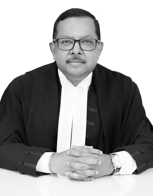 Judge